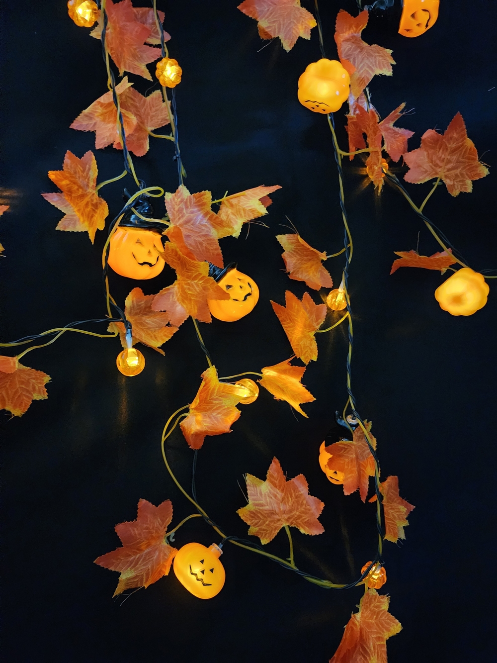 Halloween Lighted Pumpkin & Leaf String Lights - Orange New